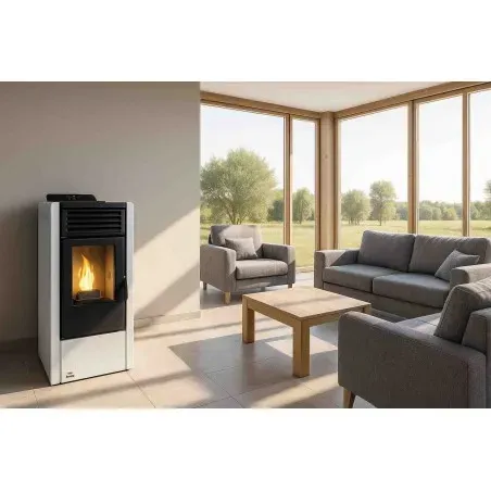 Eider Biomasa Aurum 10 Stufa a Pellet 10 kW