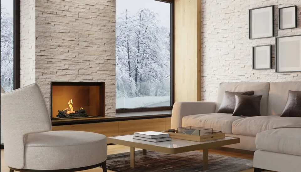 Element4 Bio 50 I bruciatore bioetanolo incasso doppia fiamma